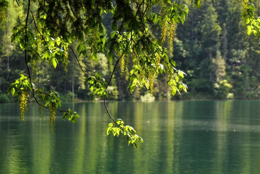 Antica Residenza de Poda Flavon Esterno foto